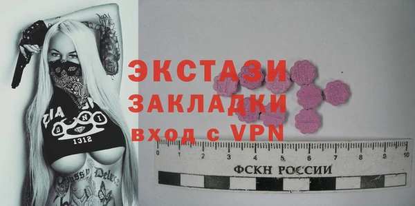 индика Заволжье