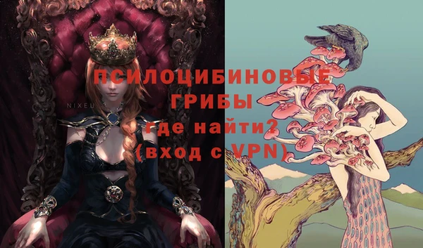 mdma Заводоуковск