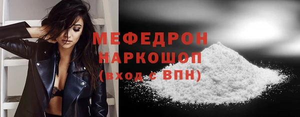 индика Заволжье