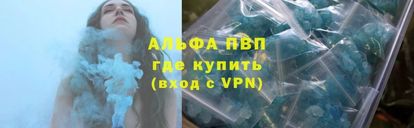 индика Заволжье