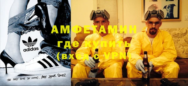 индика Заволжье