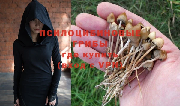 индика Заволжье