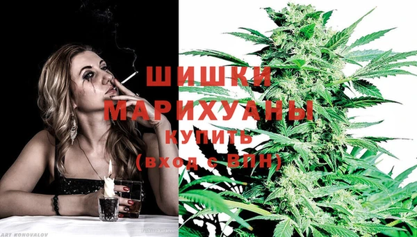 mdma Заводоуковск