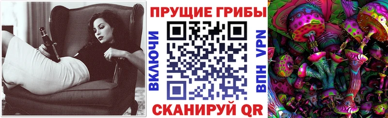 как найти закладки  Карабаново  Галлюциногенные грибы Cubensis 